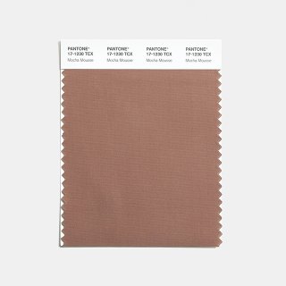 PANTONE ® COTTON SWATCH CARD
dubbel gelaagd, ongesneden
10 cm x 11 cm....