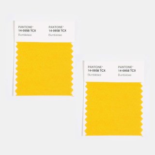 PANTONE ® COTTON SWATCH CARD
verdeeld in 2 MINIS, dubbele laag
elk 5 cm x 5 cm...